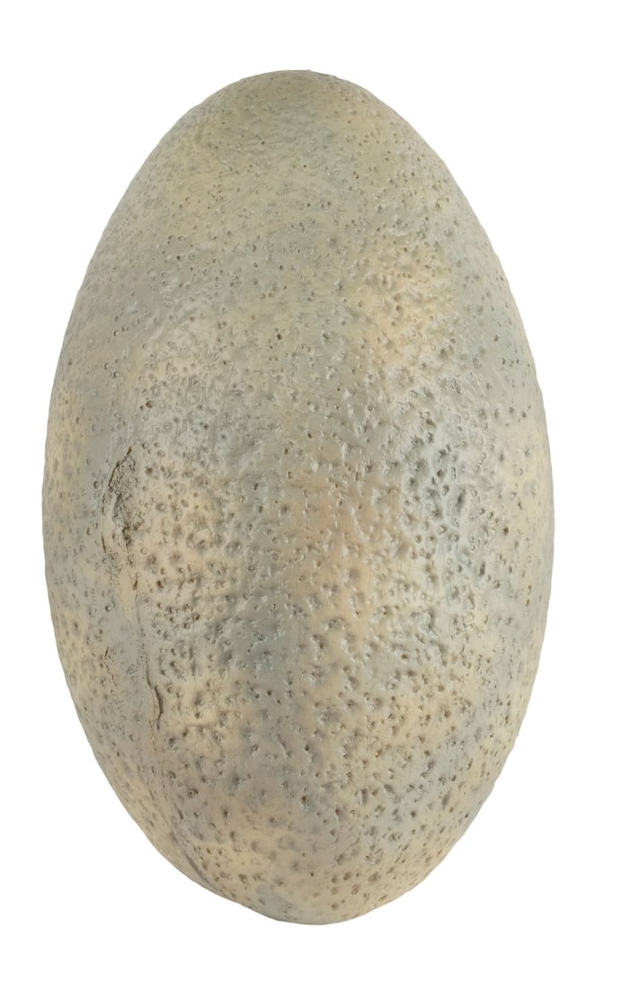 913. JURASSIC PARK (1993) - Velociraptor Egg: B