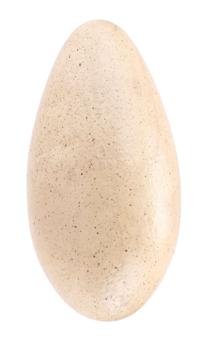 919. JURASSIC PARK III (2001) - Velociraptor Egg: B