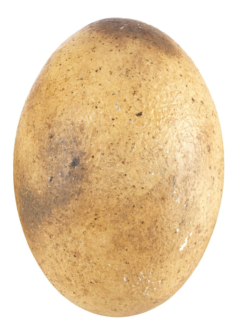 921. JURASSIC WORLD: FALLEN KINGDOM (2018) - Dinosaur Egg: B