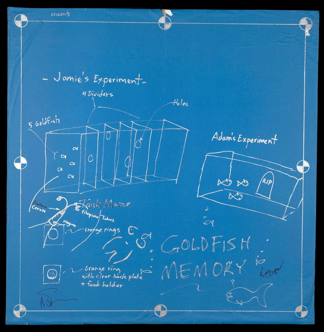 1000. MYTHBUSTERS (T.V. SERIES, 2003 - 2016) - Adam Savage and Kari Byron-Autographed Goldfish: B
