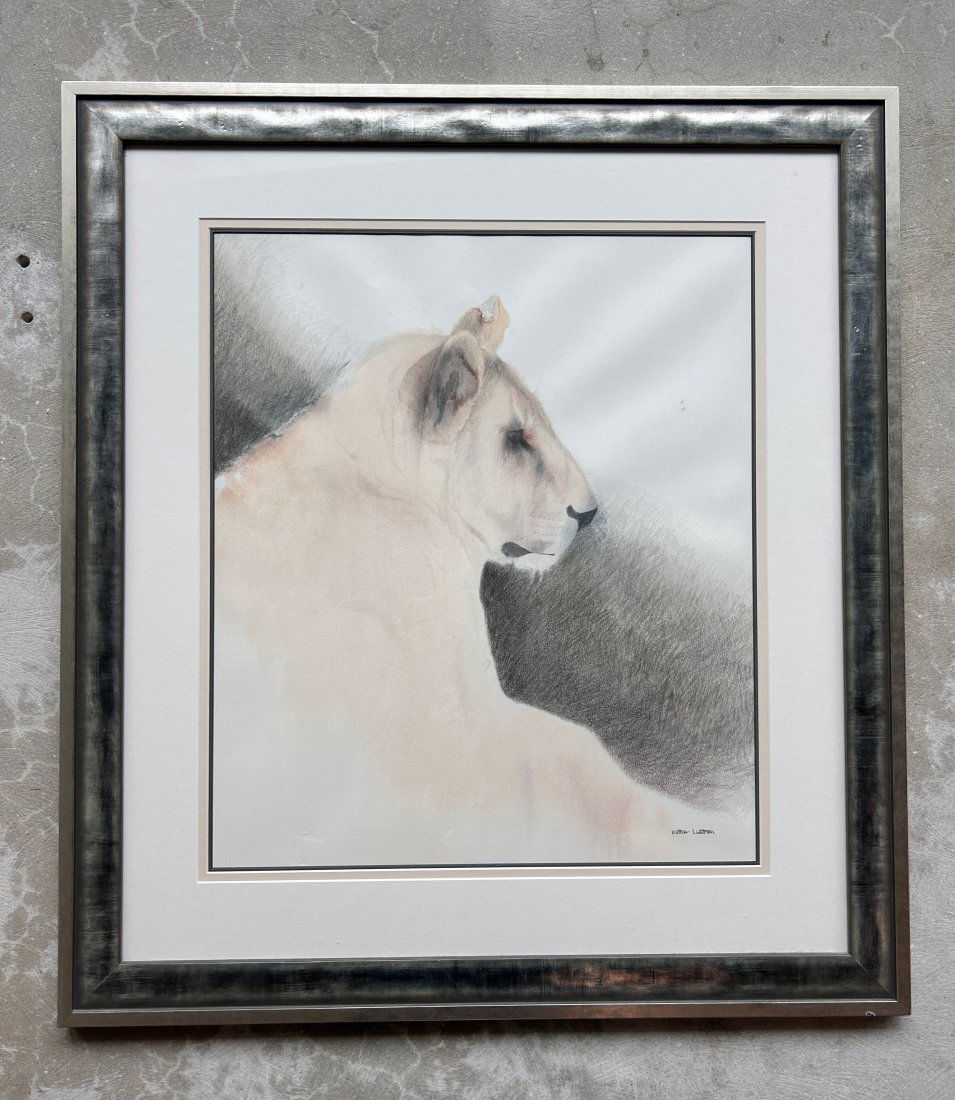 Original Drawing Lioness By Esther Lidstrom (1 of 1)