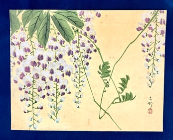 Ohara Koson (Shoson) Wisteria