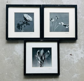 (3) Jan Gordon Floral Gelatin Print Photographs