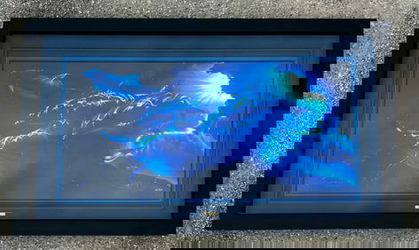 Christian Riese Lassen Photorealistic Dolphins