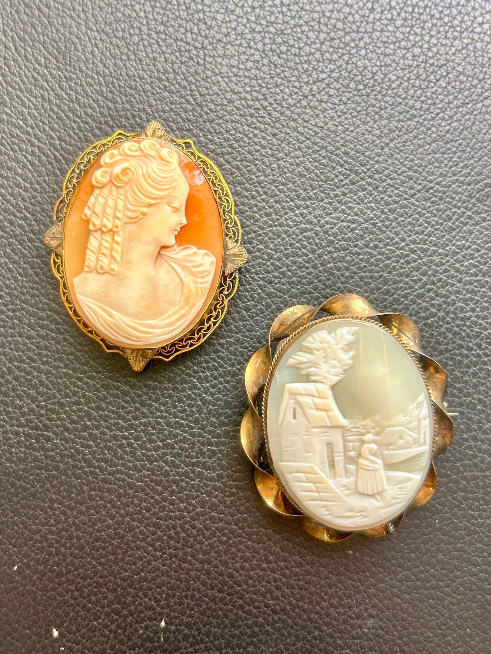 2 Vintage Shell Cameo Brooches: Landscape, Profile (1 of 2)