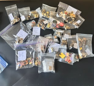Variety of Vintage Animal, Weight Watcher, Religious, Patriotic, State, and College Pins