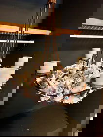 Unique Sculptural RARE Natural Shell Ceiling Decor