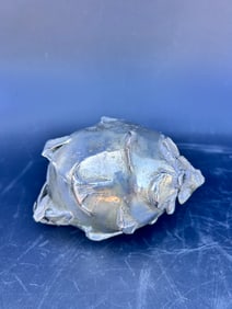 Silverplate Dragonfruit