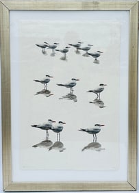 ROYAL TERNS ON HANDMADE RICE PAPER.
