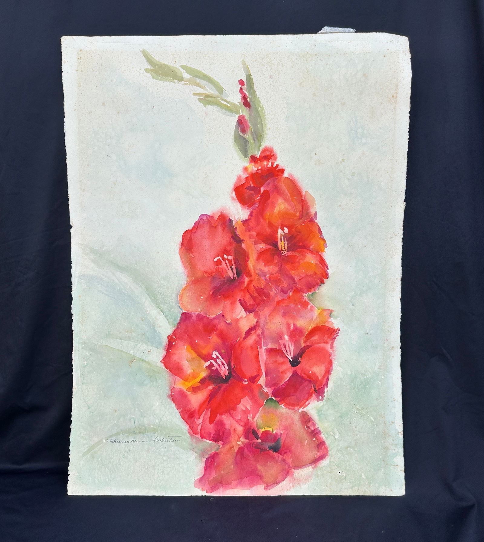 Watercolor of Red Gladiolas, Shumacker, Unframed: Watercolor of Red Gladiolas, Shumacker, Unframed measures in inches: 22 W x 30 H Condition: fair IN-HOUSE SHIPPING AVAILABLE