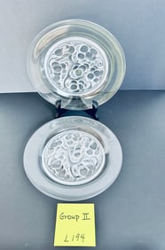 1960 2 Lalique MARIENTHAL Glass Plates (group 2)