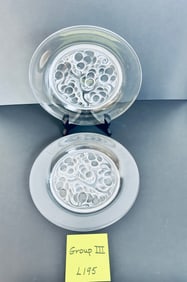 1960 2 Lalique MARIENTHAL Glass Plates (group 3)