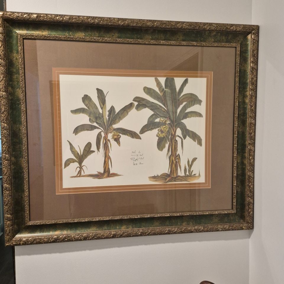 Custom framed BOTANICAL print of Banana Palm Trees ~ 38/32": This image displays a framed botanical print of banana palm trees, likely intended for wall art. The print features two mature banana palm trees and a smaller, younger one, all depicted with detailed