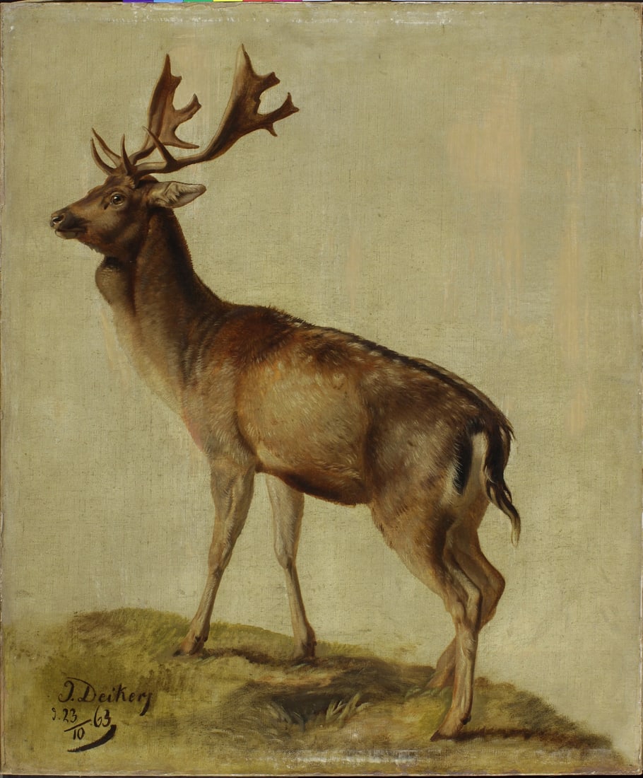 Johannes Christian Deiker, 1822-1895 (Germany)