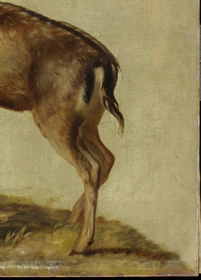 Johannes Christian Deiker, 1822-1895 (Germany)