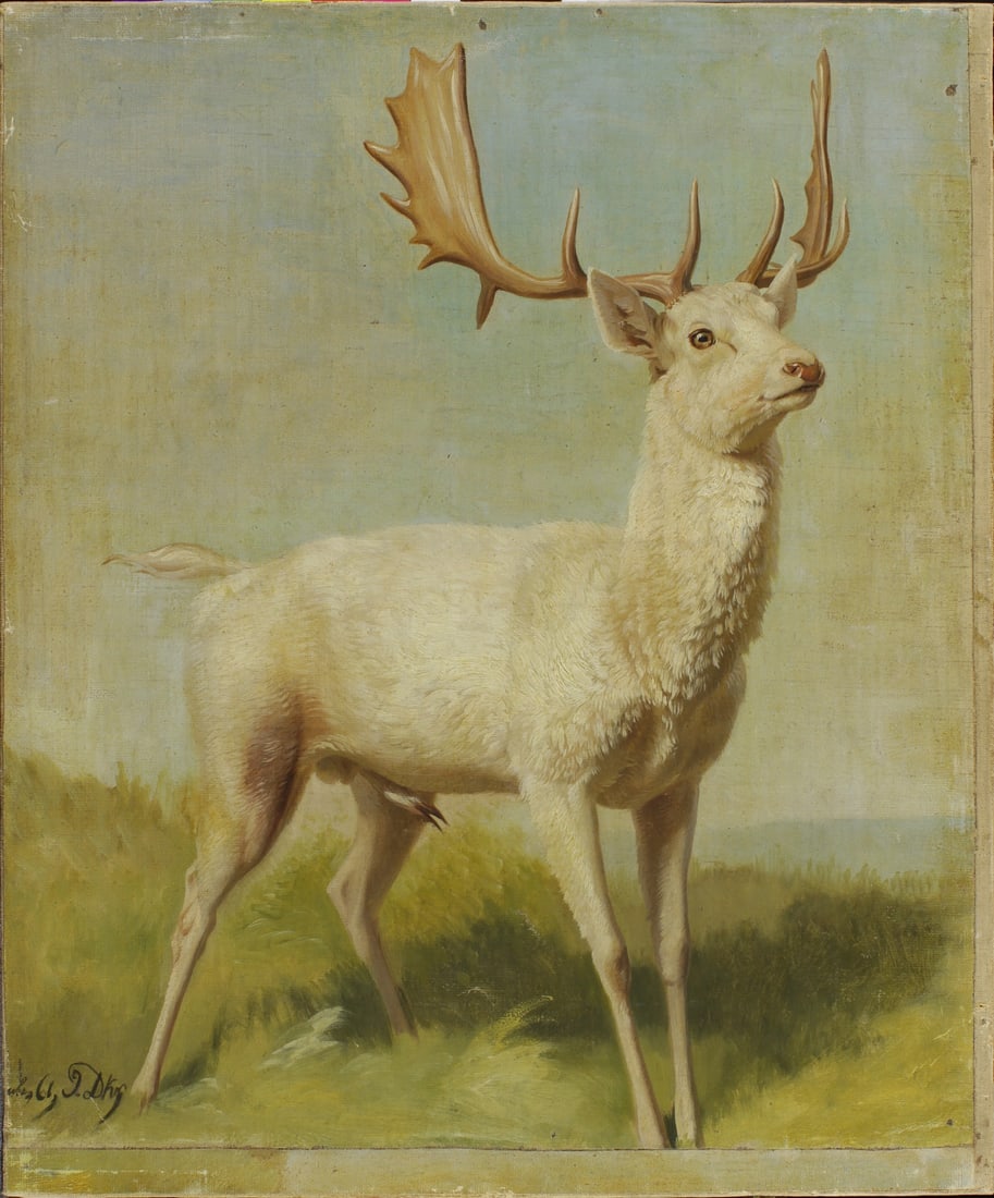 Johannes Christian Deiker, 1822-1895 (Germany)