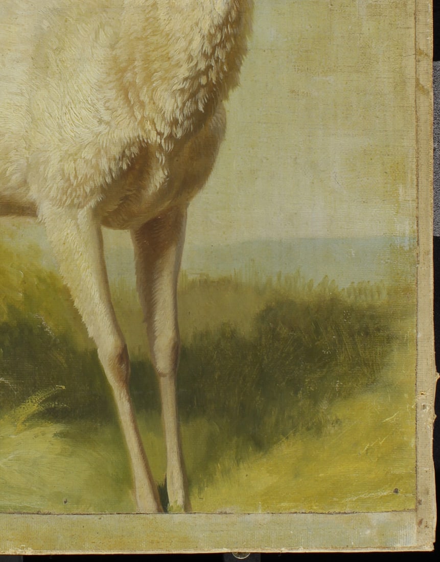 Johannes Christian Deiker, 1822-1895 (Germany)