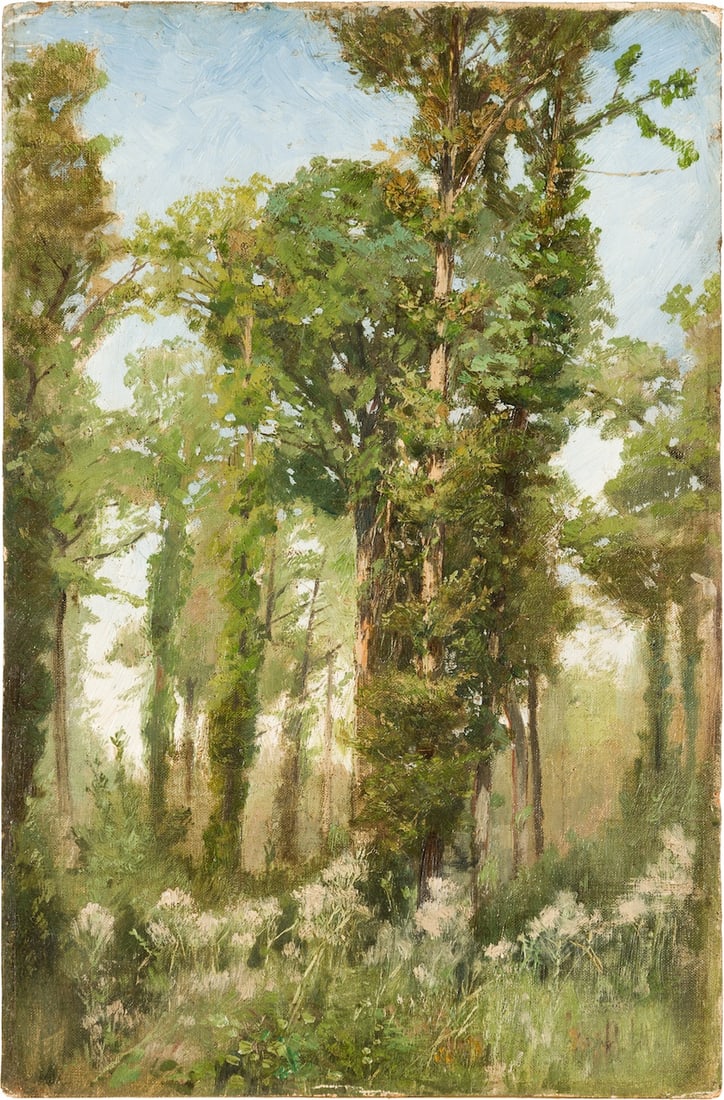 Ivan Ivanovich Shishkin, 1832-1898 (Russia): Ivan Hanovitch SCHISCHKIN, Ivan Ivanovitch CHICHKINE, Iwan Iwanowicz SZYSZKIN (1832-1898) Etude, Summer forest Oil on canvas attached on cardboard Dimensions 40 x 26 cm (15 3/4 x 10 1/4 inches) Signed