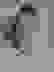 item-65754681=6