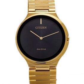 Citizen Stiletto Gold Base Steel Eco-Drive Watch