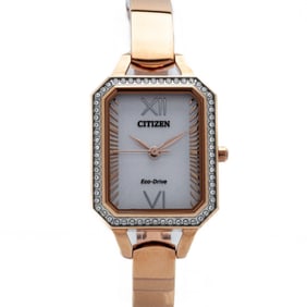 New Citizen Silhouette RG Steel Eco-Drive Watch