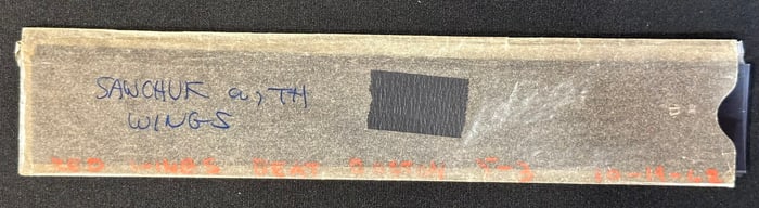 Terry Sawchuk w/ Wings 10/19/1962 Original Sleeve of 8 Negative Slides