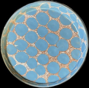 Wonderful Early & Rare Duchess Cobblestone Blue Enamel Ware Cake Pie Pan Basin