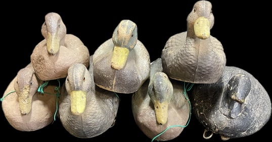 Lot 7 Vintage Duck Decoys Carry-Lite, Ariduk Fiber & 1 Wooden