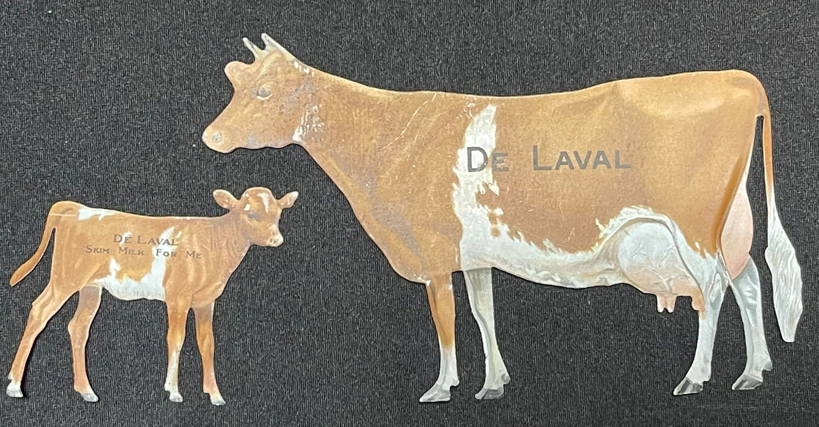 Pair Guernsey Delaval Cow & Calf Tin Litho Advertising Souvenir Signs (1 of 8)