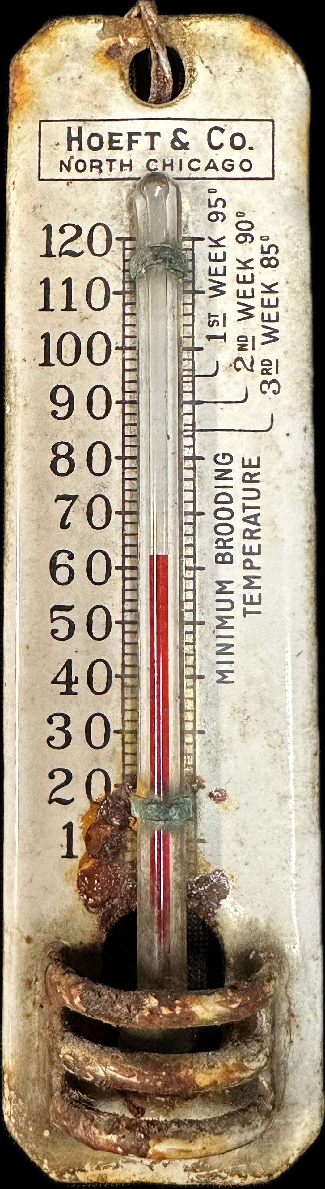 Hoeft & Co North Chicago Porcelain Enamel Chicken Brooder Thermometer (1 of 6)
