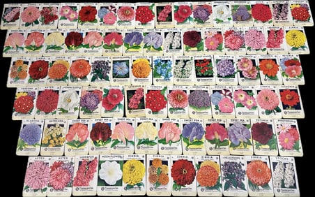 Lot 41 Early 1900s Seed Paper Envelopes Flagomarsino Sacrmento California