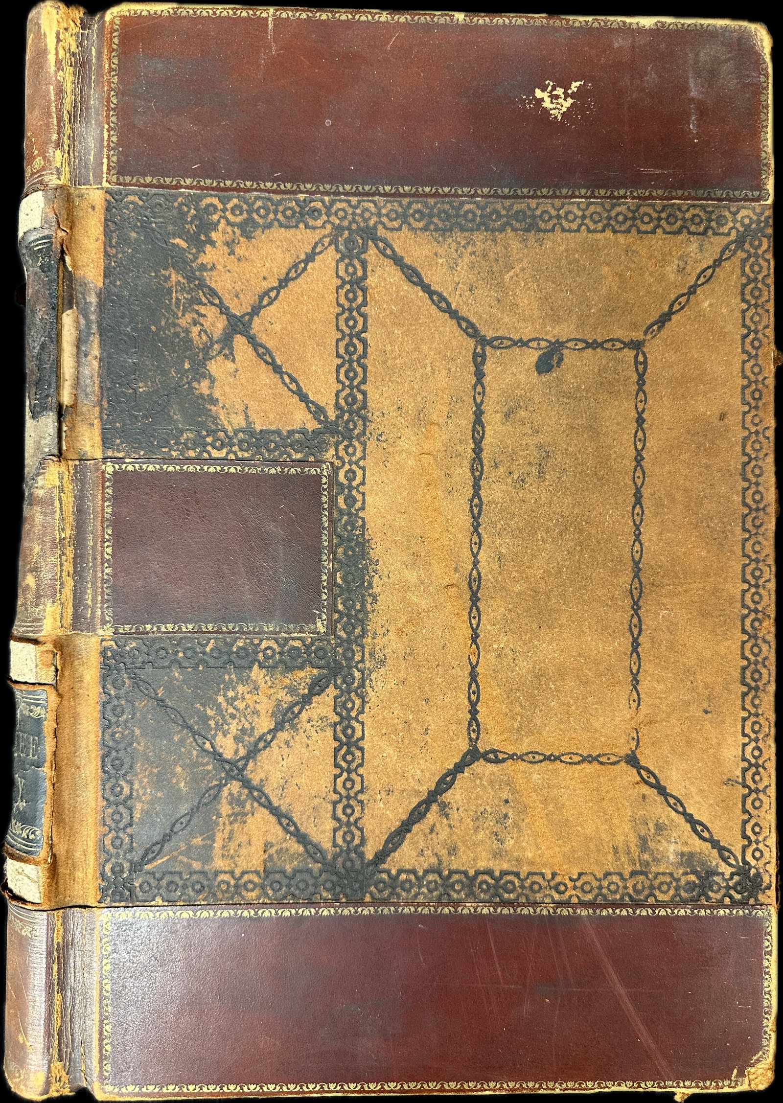 19th Century Large Leather Bound Probate Court Ledger Lenawee County Michigan Judge Norman Geddes (1 of 20)