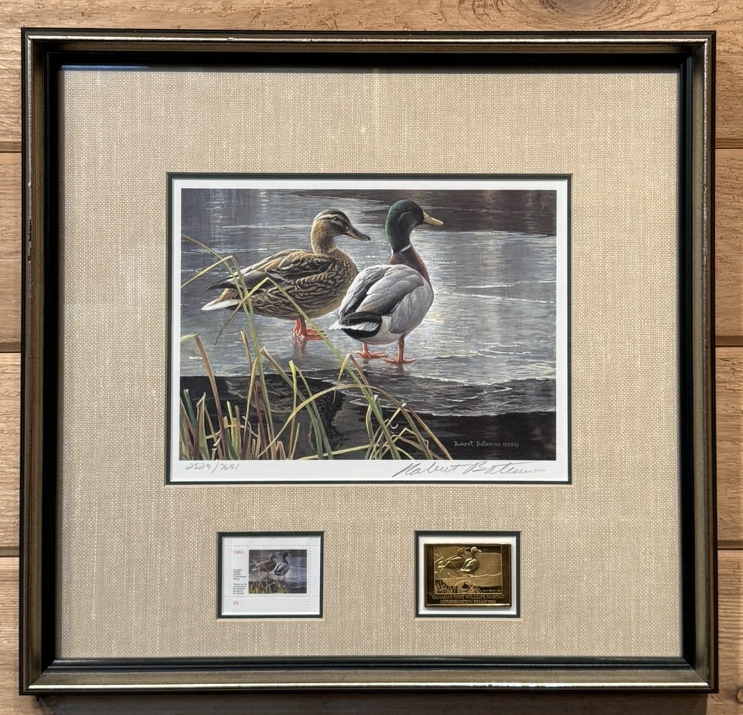 Robert Bateman Arksansas 1985 Duck Stamp Framed Print (1 of 9)