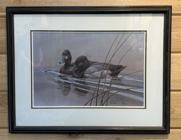 Dietmar Krumrey Signed 1978 Waterfowl Print