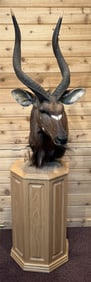 Kudu Antelope Taxidermy Shoulder Pedestal Mount