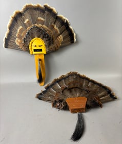 Pair Large Turkey Feather Taxidermy Wall Mounts