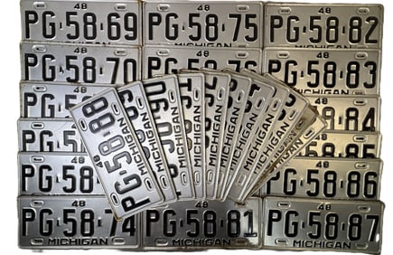 29 Consecutive Michigan 1948 License Plates PG-58-69 to PG-58-98