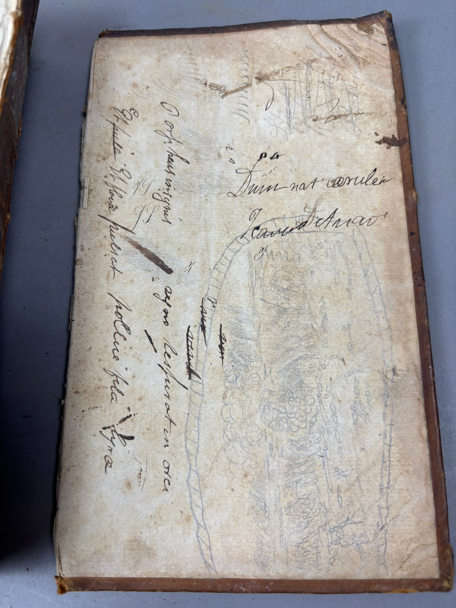 1797 Lempriere Bibliotheca Classica Classical Dictionary Leather Bound - 17