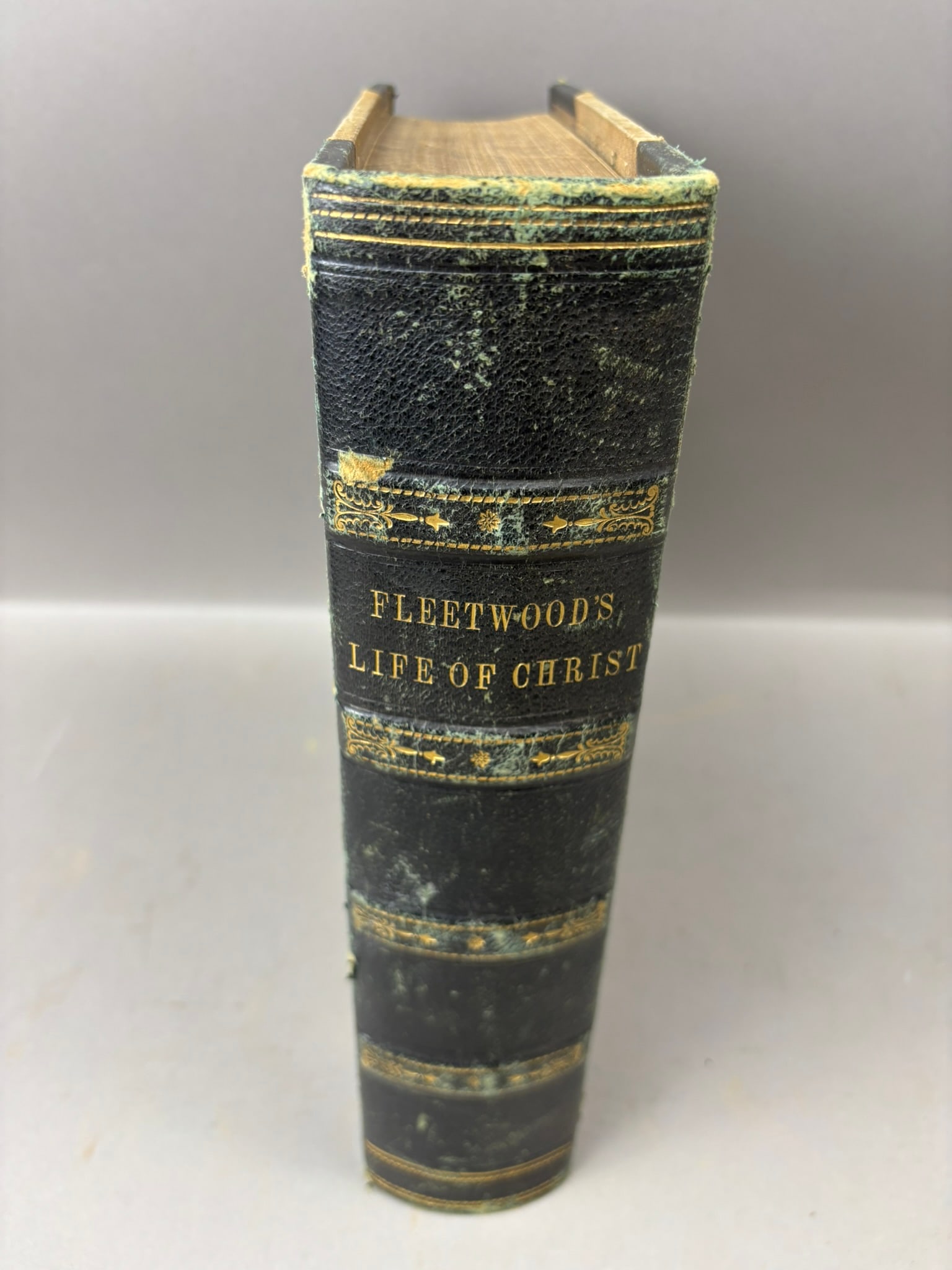 Antique Rev. John Fleetwood Life of Christ Illustrated Religious Book: Antique religious volume titled The Life of Our Lord and Saviour Jesus Christ by Rev. John Fleetwood, D.D., published by John Tallis and Company of London and New York, featuring decorative engraved t