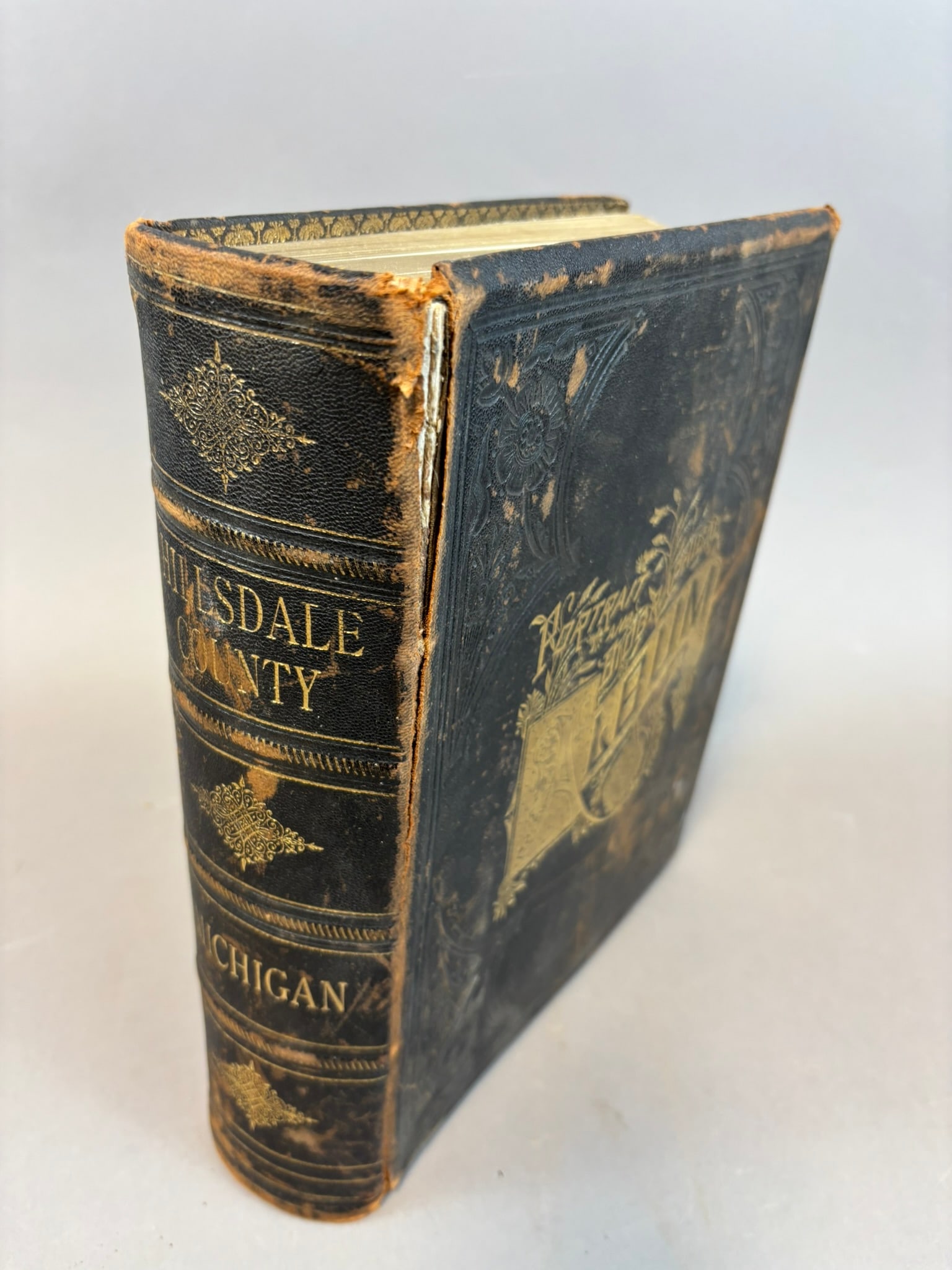1888 Portrait Biographical Album Hillsdale County Michigan Chapman Bros: 1888 Portrait and Biographical Album of Hillsdale County, Michigan published by Chapman Brothers of Chicago, containing full page engraved portraits and biographical sketches of prominent and represen