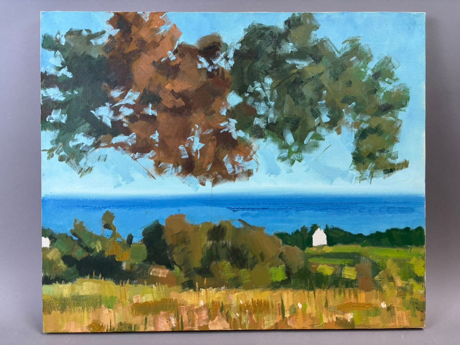 Henry Schafer Jackson Michigan Landscape Oil Painting Lake Farm Scene 24x20: Oil on canvas landscape painting by Jackson, Michigan artist Henry Schafer depicting a serene rural scene with open fields, distant treeline, and a vivid blue lake horizon beneath loosely rendered fol