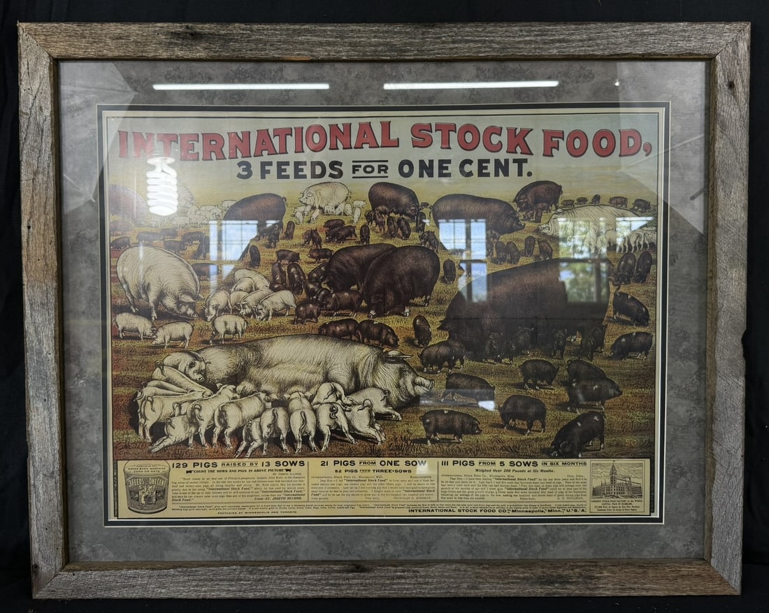 International Stock Food 3 Feeds 1 Cent Framed Paper Sign: 32" x 26" overall