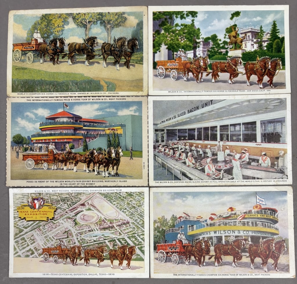 Lot of 6 Wilson's & Co Post Cards: Please make sure you view all photos and ask any questions you may have! Great original collectible item. This is day 1 of our 2 day one owner auction event. Thanks and have a great day! Holler &