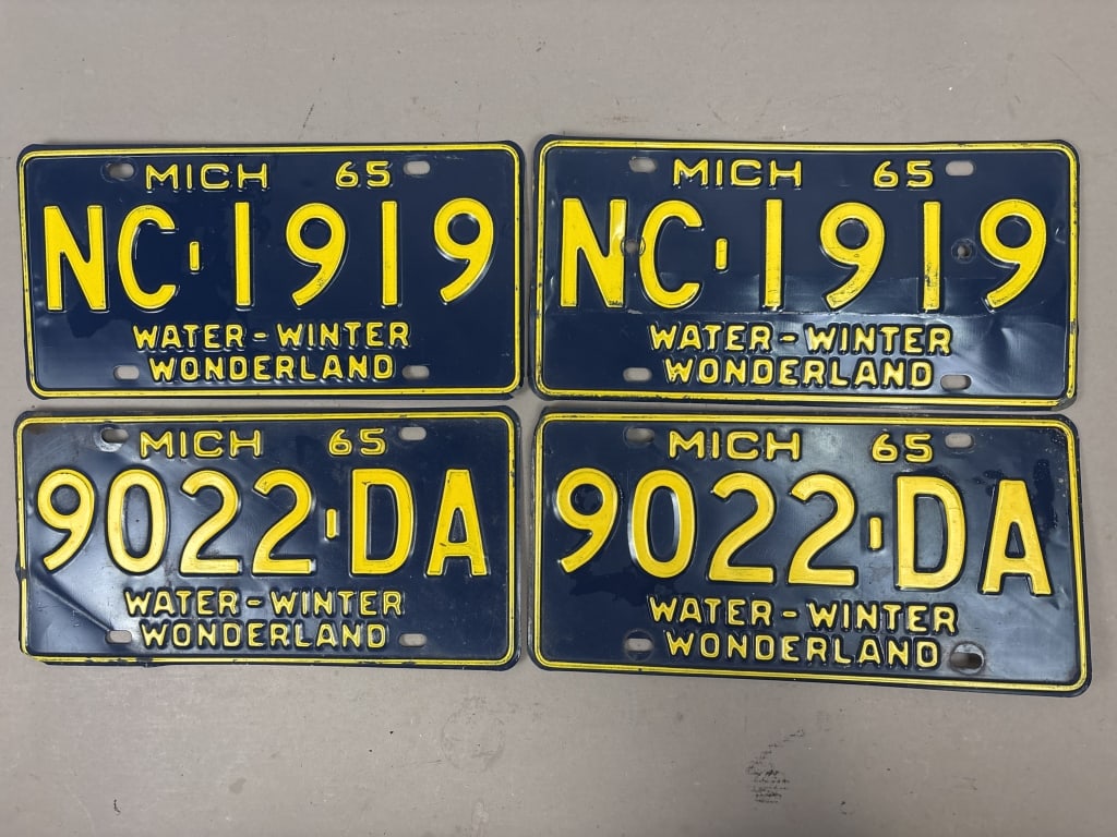 2 Pairs 1965 Water Winter Wonderland Michigan: See all photos as a better idea of condition.