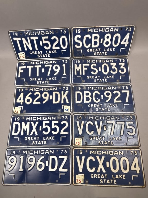 Lot of 10 1973 Michigan Great Lake State Plates: See all photos as a better idea of condition.