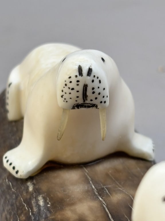 Walrus Tooth Carving - 5