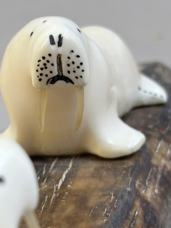 Walrus Tooth Carving - 6