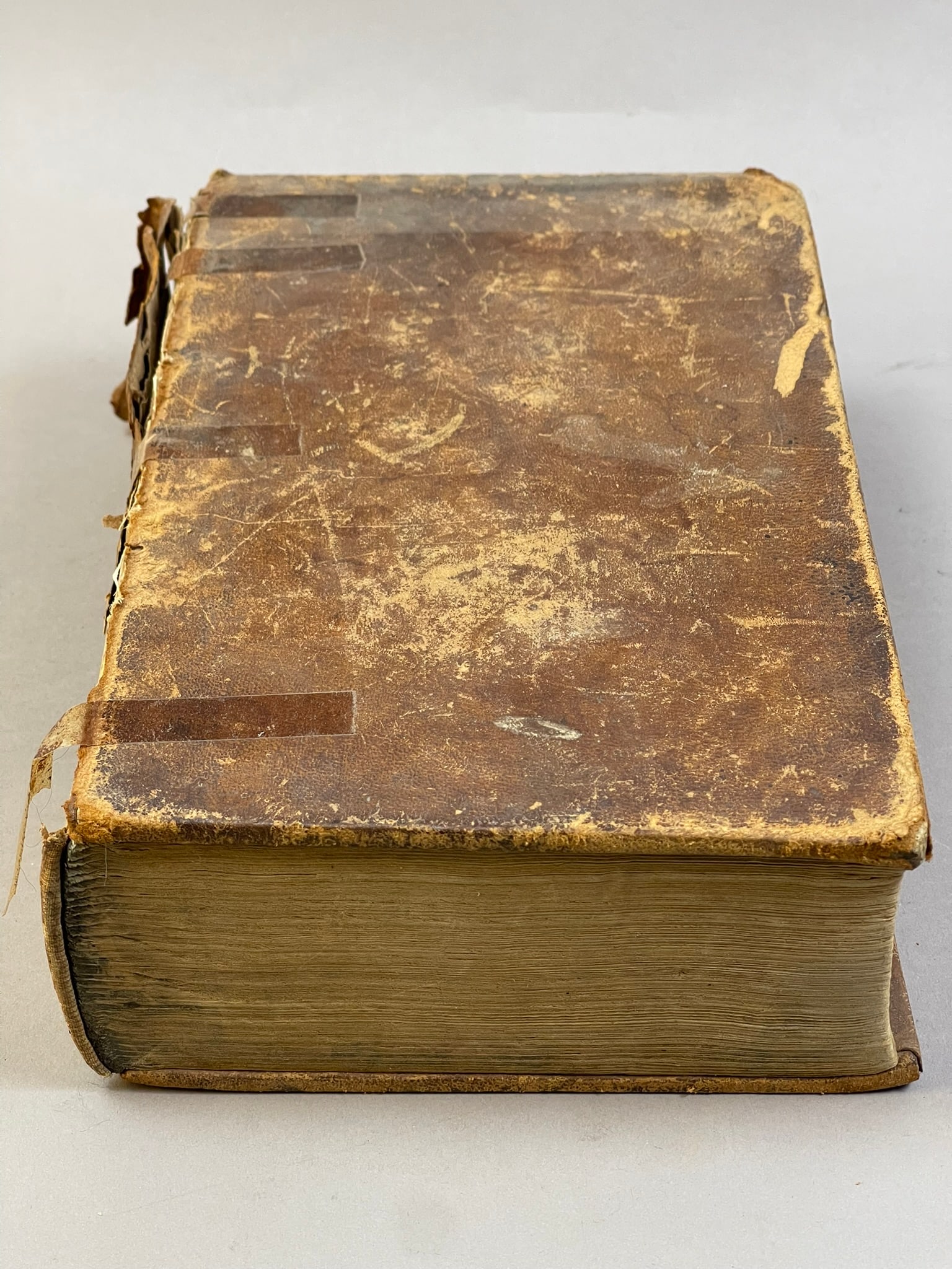 Antique The Naturalist's Library 1850s Gould Book: Measurements in photos PLEASE NOTE WE OFFER IN HOUSE SHIPPING & HAVE BIDDING AVAILABLE ON OUR OWN WEBSITE! If you win on LIVE AUCTIONEERS, please click "SELF ARRANGED SHIPPING" and keep on the lookout