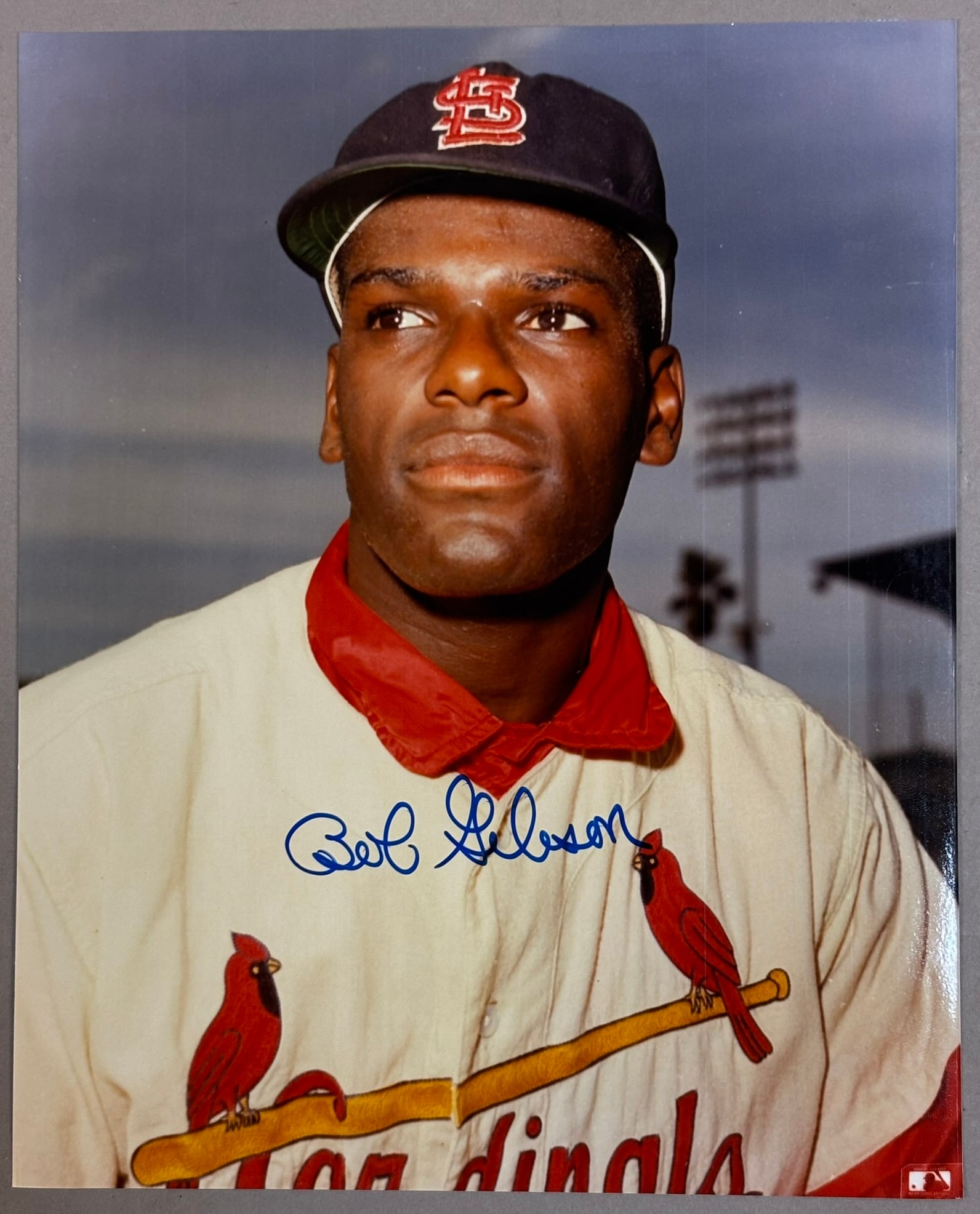 St Louis Cardinals HOF Bob Gibson Auto 8x10 Photo (1 of 7)