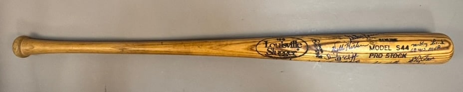 Detroit Tigers Team Signed 1968 World Champs Bat: Great original team signed baseball bat by 1968 World Series Champion Detroit Tigers. Willie Horton, Gates Brown, Dick McAuliffe, Mickey Lolich, Wayne Comer, Daryl Patterson, Dick Tracewski, Mickey St